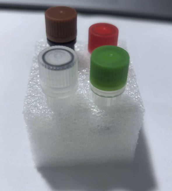 非洲猪瘟病毒（P72/CD2v/MGF）三重荧光PCR检测试剂盒